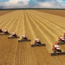 «Престиж сельскохозяйственных профессий возрастает»: Россельхозбанк назвал самые востребованные профессии в АПК